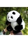 Panda Hua Hua Doll Backpack